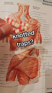 51K views · 1.1K reactions |  upper trapezius mobility - The first...