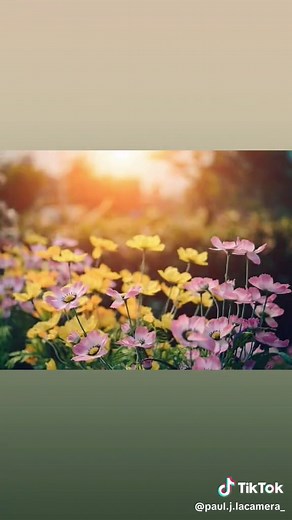 Paul J LaCamera on TikTok