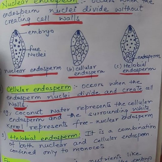 Exploring endosperm: types and functions #endosperm #neet