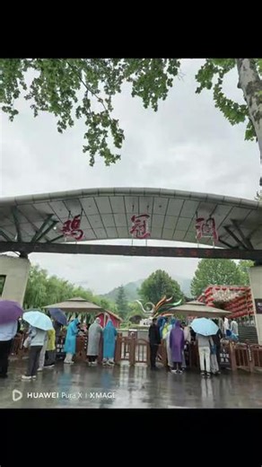 鸡冠洞内钟乳石、石笋千姿百态，历经亿万年自然雕琢，形成“千年一吻”“擎天玉柱”等奇幻景观