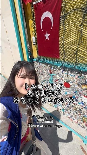 【トルコ】この国、“ある動物”が多すぎる🐾🇹🇷