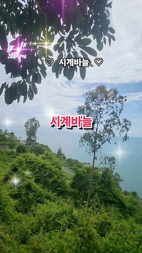 #시계바늘 #원곡자 신유
