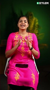 രസകരമായി MATHS പഠിച്ചു തുടങ്ങാം ! | Xylem Class 7