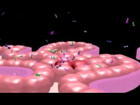 Breast cancer and the estrogen connection: Plastics