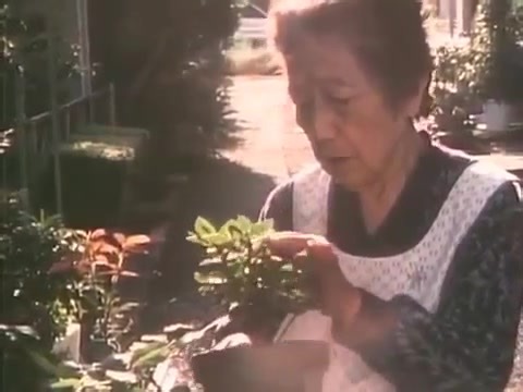 【河濑直美】记录短片合集-英字