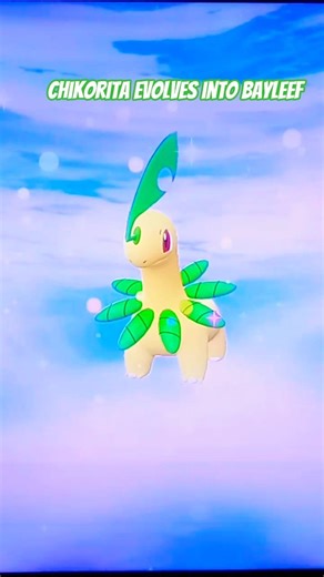chikorita has evolved into bayleef