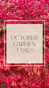 6 tasks to keep you busy this October 🍁 1. Order and plant trees, hedges and shrubs 2. Order bare root roses 3. Plant Crocus, Iris and Narcissus 4. Gather leaves for leaf mould 5. Plant sweetpea seeds 6. Order bulbs for Christmas blooms | Pollyanna Wilkinson Garden Design