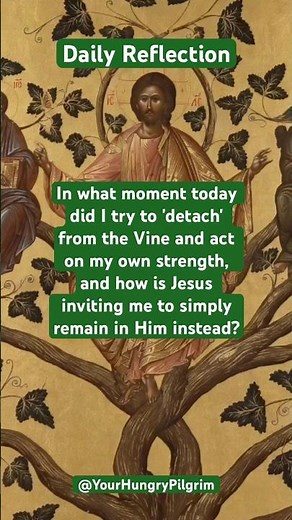 Daily Reflection: Abiding in the Vine #catholic #gospel #bibleverse
