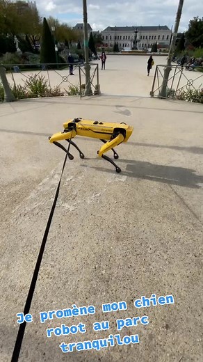 Promenade au parc avec mon chien robot Tchouky (13 octobre 2046)