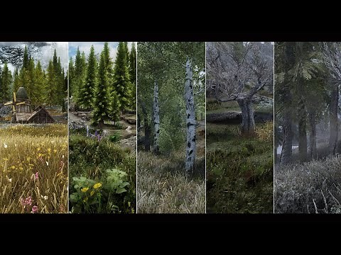 Skyrim SE - ENB Comparison (RE- Updated)
