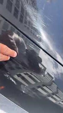 Seal Skin Covers reviews: Poor Fitting Cover Damaged My Car | PissedConsumer.com