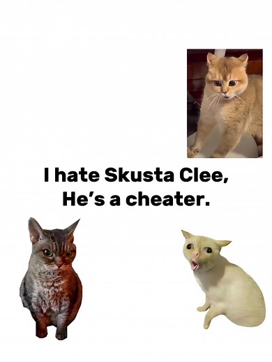 mysb #missyousobad #skustaclee #lyrics #cats #fypppppppppppppp | song with lyrics