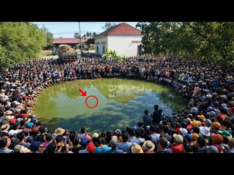 Excellent Starting New Project COMPLETE100% Delete Small POND by Mini Dozer Clearing With Dump Truck