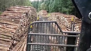 145K views · 773 reactions | Logging days are long and hard | DAVID CUDDY | Facebook