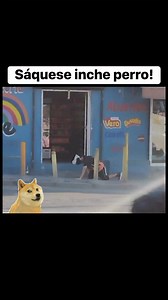 Mándenle una coca a mi abuela! | Pepe Zaragoza