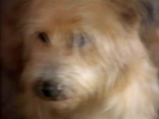 Paramount "Rent A Video" Commercial (1992) : Paramount Pictures : Free Download, Borrow, and Streaming : Internet Archive