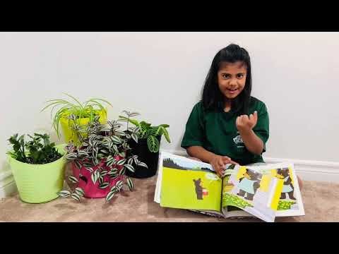 How to make blueberry cake | Blueberry Cake | Children Book | Storytime for kids