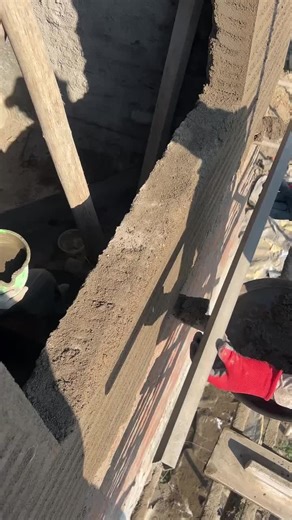 Exploring Nature's Role in Modern Construction