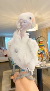 204K views · 7.9K reactions | Our bedtime routine, every single night ⭐️   | Lucky Lou and Coco Too | Facebook