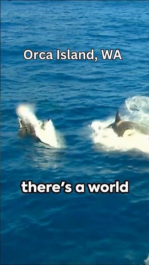 Orcas Island | An Epic Summer Adventure #Orca, #Island #Fun
