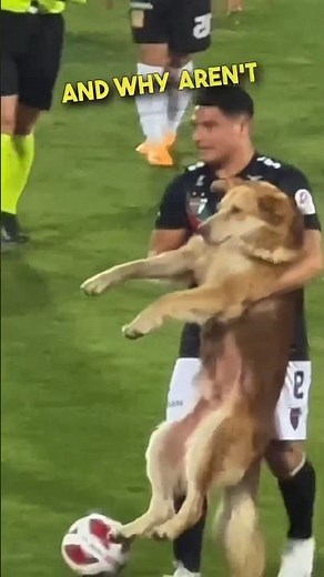 The way he was carried off the field 😂❤️#shorts