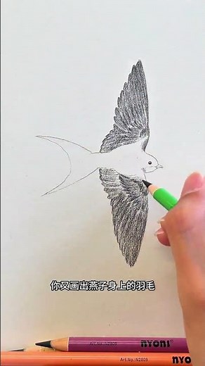 Master Swallow Drawing in a Snap! Easy Peasy Art Tutorial