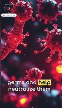 Secrets of the Human Immune System: How It Protects You Daily.
