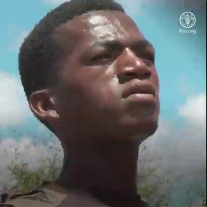 5.6K views · 296 reactions | With help from FAO, countries in East Africa have built up their capacity to manage the ’s most devastating migratory pest. 聯 Although reduced, the threat persists. Survey & control operations to contain the threat are ongoing. We stand with you, East Africa. #DesertLocust | Food and Agriculture Organization of the United Nations (FAO) | Facebook