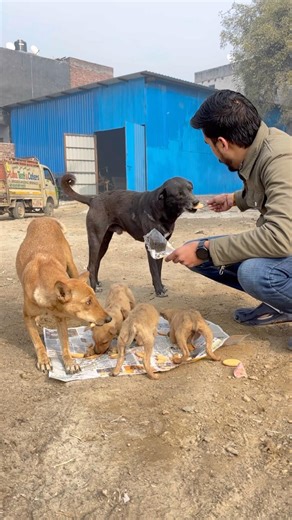 सेवा परमो धर्म #bezubaan #sewa #shivshakti #pashupatinath #shortvideo #yogya #vishaltyagi #indian