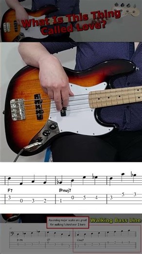 "What Is This Thing Called Love?" (part 1)🎤 Walking Bass Line 🎻#jazzbass #walkingbass #bebop