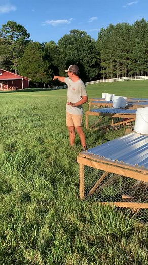 2.7K views · 188 reactions | ❌ Not all chicken is created equal ❌...