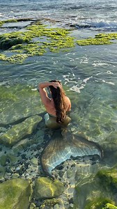 589K views · 3.4K reactions | A nice little tide pool bath  #professionalmermaid #mermaidtail #fairytale #mermaidcore #mermaid #ocean #fantasy #fairytales tail by Merbella Studios Inc. | Mermaid Sirenity | Facebook