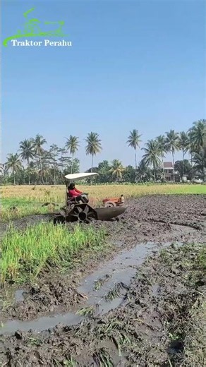 Ingin membajak lahan dalam lebih cepat?#traktor #automobile #traktortangan #farming #sawah #trending