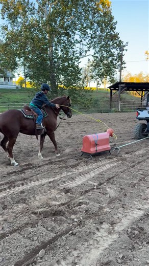Proud mom moment 🥹 First time swinging his rope on his Peach girl 🫶🏼 Thanks Gail Turner for hooking us up with this girl that sure takes care of him Thanks Summer and Andy for letting him rope with you!! | Callie Hoke Neiderhiser