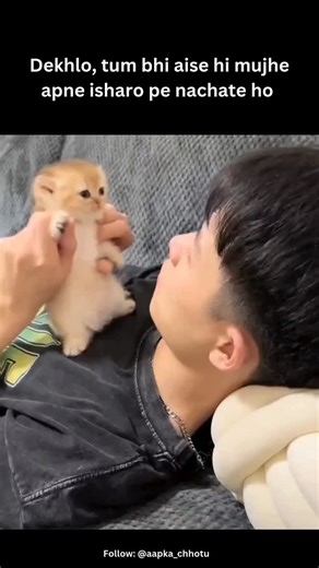 Aapka Chhotu on Instagram: "Tag your dominating dost! #reels #trending #viral #explore #explorepage #trendingreels #foryou #fyp #funnyreel #funnymemes #funny #relatablememes #instagram #mood #VibeCheck #girlfriend #boyfriend #love #cute"