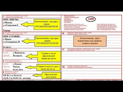 Заполнение ЦМР. Подробное видео. CMR