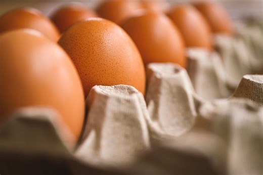 Feds Crack Eggs With Michigan Over Cage-Free Law