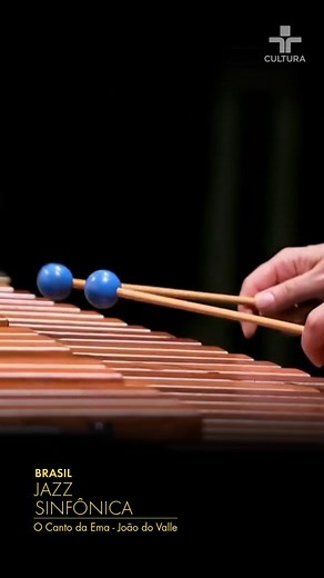 Um trecho de ontem da música 'O Canto da Ema' de João do Valle, com arranjos de Tiago Costa (@_tiagocosta_) e regência do maestro Gustavo Petri (@lgustavopetri). Quer assistir ao vivo a Brasil Jazz Sinfônica? Atenção as próximas datas: 03/05 - Big Band Apresenta 'Brasil em Jazz' no Blue Note, às 20h 09/05 - 'Uma Viagem Sonora ao Cinema' no Teatro Cultura Artística, às 20h Todos os links estão na bio ou nos fixados! . . . . . #brasiljazzsinfonica #ocantodaema #musicapopular #musicabrasileira #orq