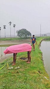 1M views · 9.1K reactions | A Cow Kicked Him Into the Water – Funny Video 藍藍 #trending #vrial #funnyvideos | Friend media 2.0 | Facebook
