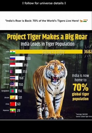🦁 Tiger Population by Country | How Many Tigers in Each Country? 🌍