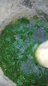 5.3K views · 20 reactions | Eggshells is use as a liquid Fertilizer for plants This eggshell provides an instant calcium booster, particularly for container gardens and it also good for your chickens, egg shell enhance and provides a great calcium when blend and mix with their feed. | Faustina the farmer | Facebook