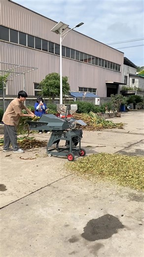 Suitable for chopping: corn stalks, hybrid giant napier,fresh grassrice & wheat straws, various grass,etc. 🌟 DAWN AGRO @ Canton Fair 2025 Autumn! 📅 Oct 15–19, 2025 📍 Booth: 19.2B31-32 & C17-18 🤝 You are warmly welcome to visit our booth! 🚜 Let’s meet and explore more agri-machines together!#machinery #chaffcutter #dawnagro #farmer | Dawn Agro Manufacturer