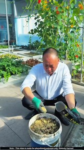 2.6M views · 10K reactions | Chinese farmers are very diligent in farming.. | Asare Obed | Facebook