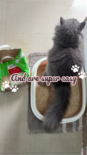 What Actually Makes a Good Cat Litter (Most Owners Get This Wrong)