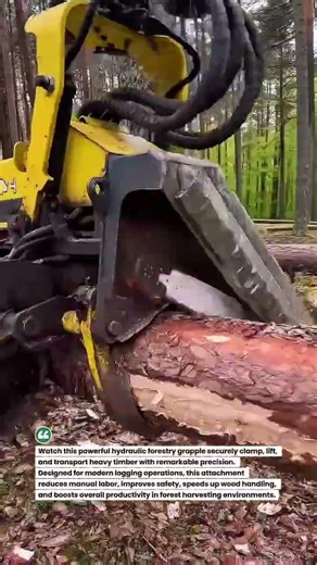 Forestry Power: Hydraulic Log Grapple in Action! #LoggingTech #ForestryEquipment #HeavyMachinery