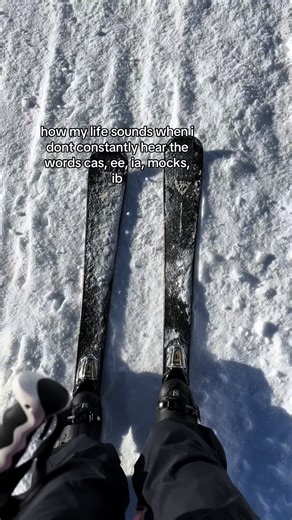 Nostalgia for Revision Dojo and the IB Program