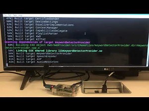 AVS Sample App: How to Use a Personal Model