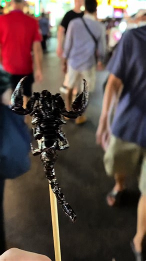 連休でタイのバンコクに行きました。東南アジアは移動が楽しくて好きです。 #thailand #bangkok #trip #japan #doctor #タイ#バンコク#タイ旅行#バンコク旅行#vlog#海外旅行#医者