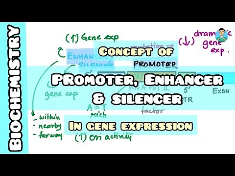 Promoter VS Enhancer VS Silencer : Regulation of gene expression | Biochemistry | USMLE Step1,NCLEX