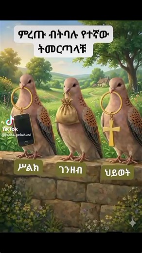 Birtukan (@1birtukan0)’s videos with original sound - Birtukan